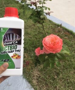 Đạm cá – Humic Mỹ – chế phẩm Kích rễ, khỏe cây, sai hoa cho hoa hồng